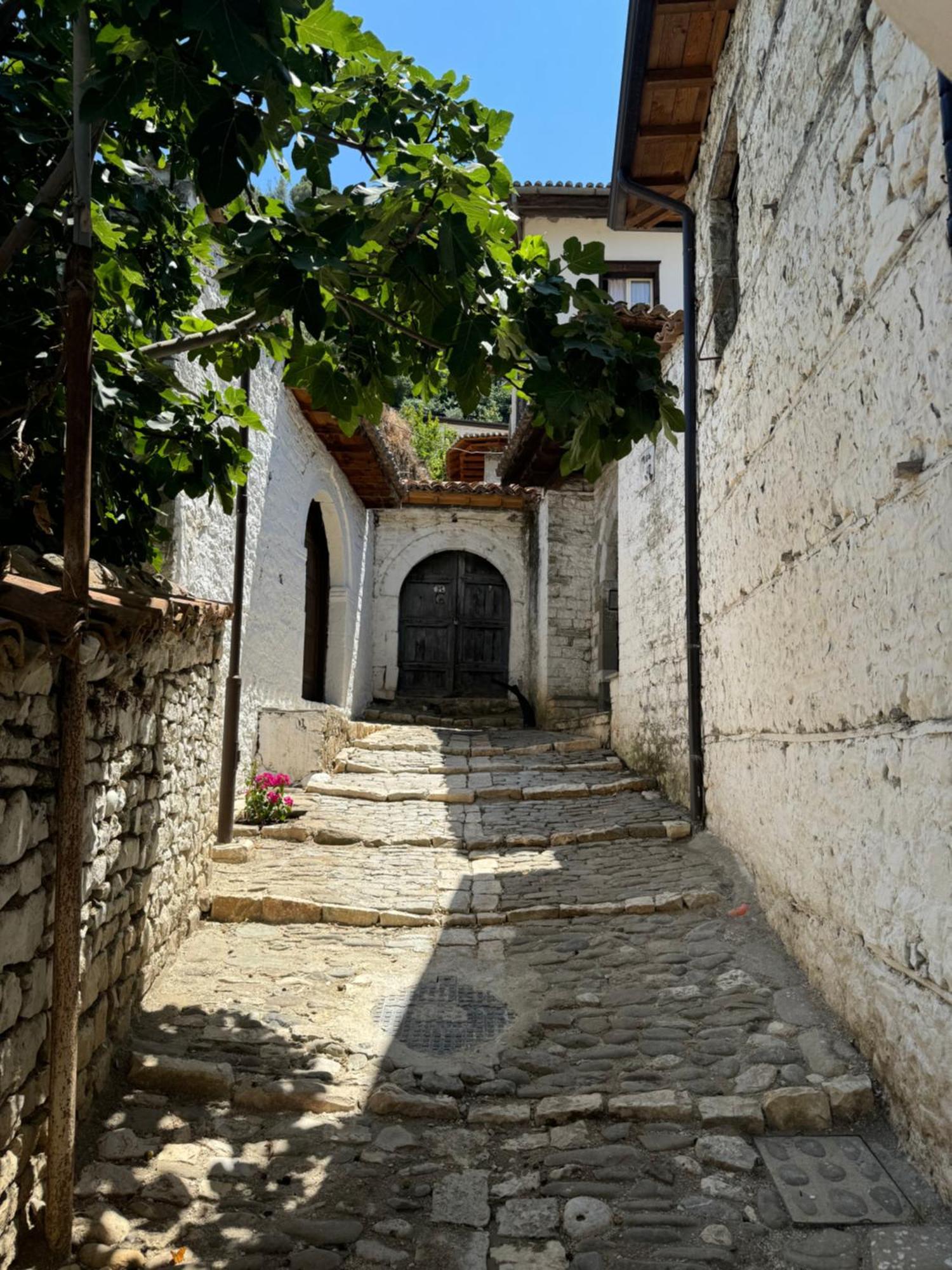 Meroli Guesthouse - Unesco Quarter Berat Extérieur photo