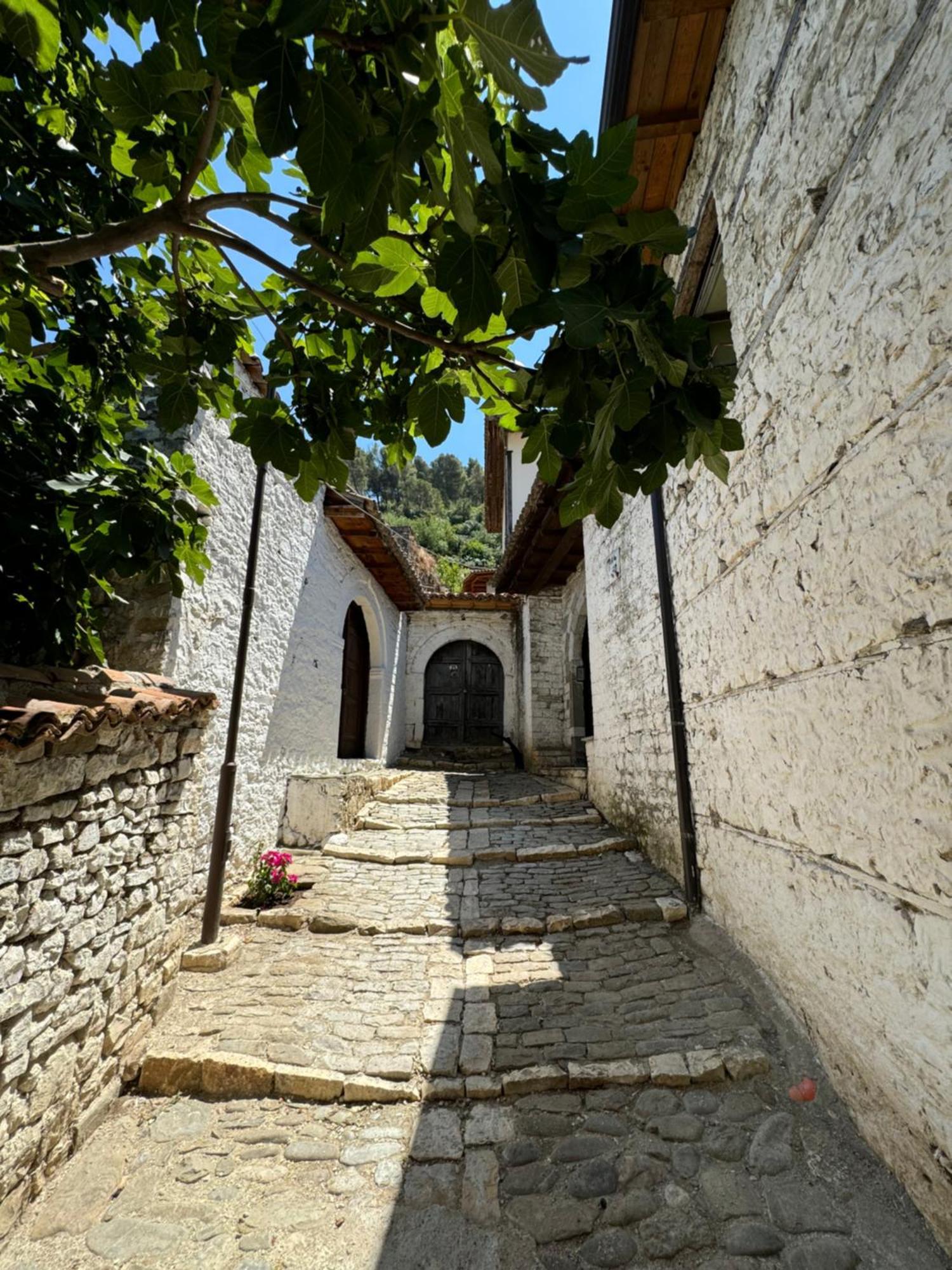 Meroli Guesthouse - Unesco Quarter Berat Extérieur photo